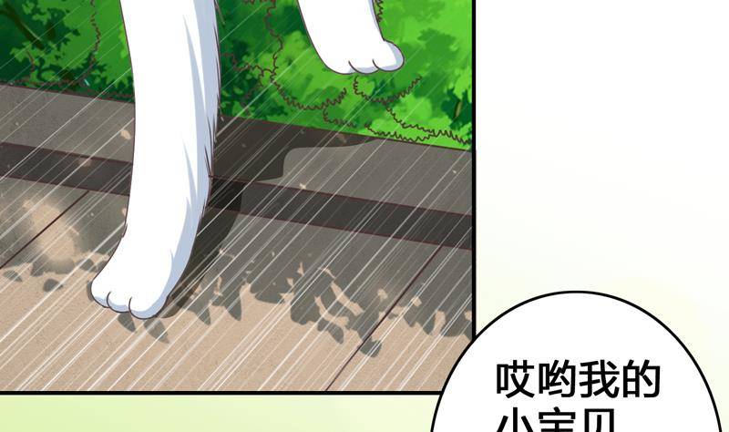 第13话 他怎么在这(1/2)-第13话