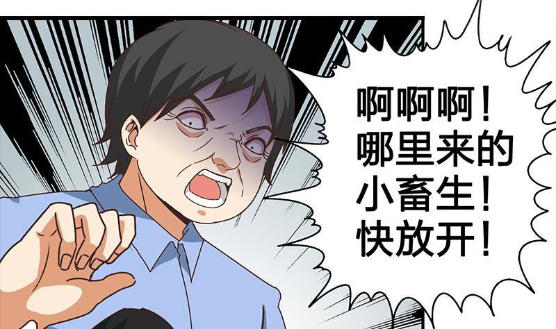 第14话 那就做我男朋友吧(1/2)-第15话