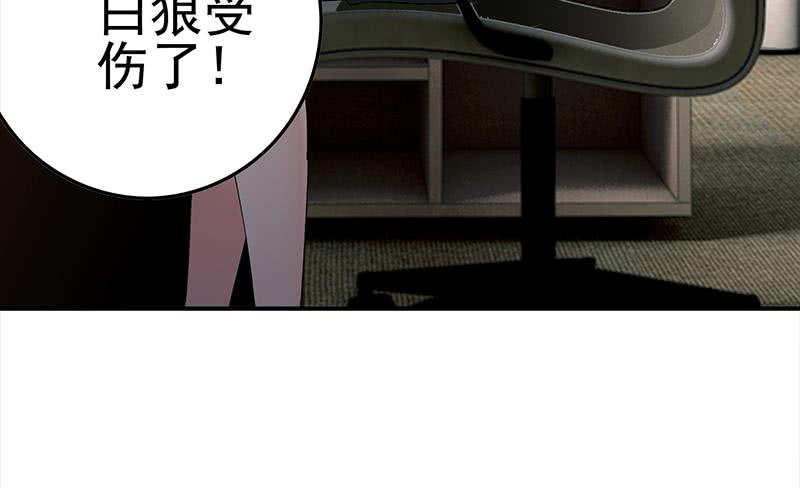 第230话 回忆(1/3)-第231话