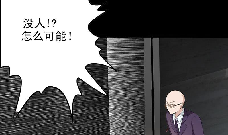 第248话 神秘人(1/2)-第249话