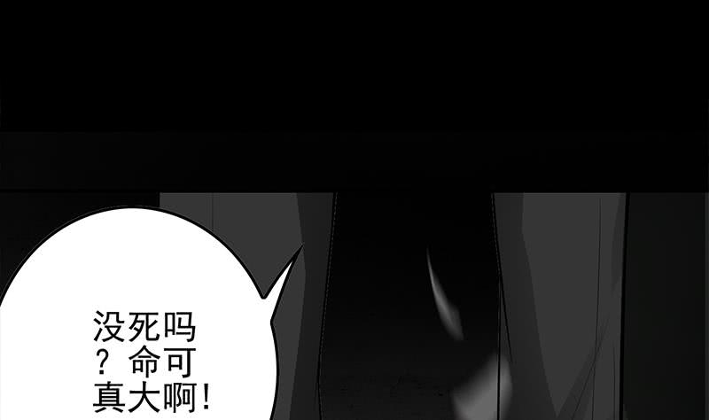 第250话 将军了(1/2)-第251话