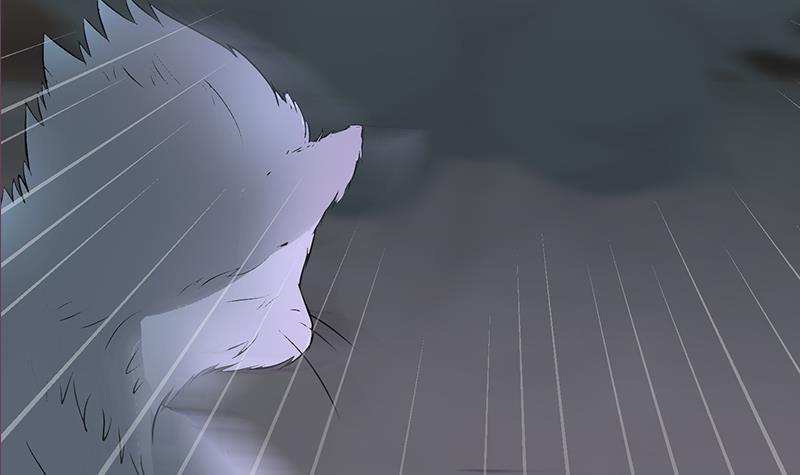 第264话 破绽(1/2)-第265话