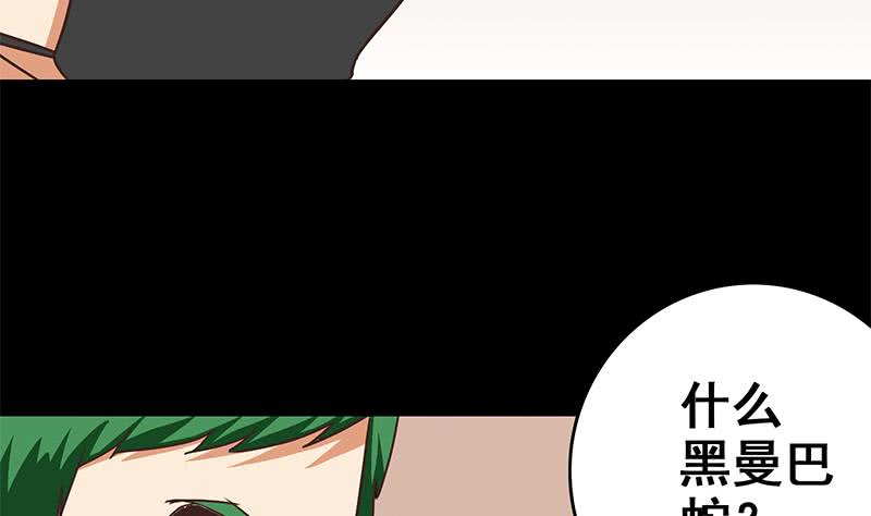 第96话 黑曼巴蛇？(1/2)-第97话