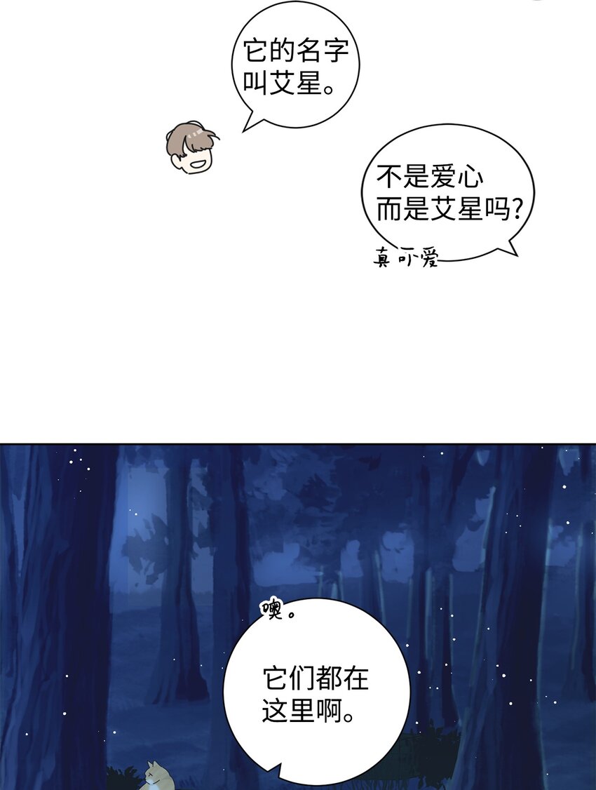 03 一起喂猫(1/2)-第3话