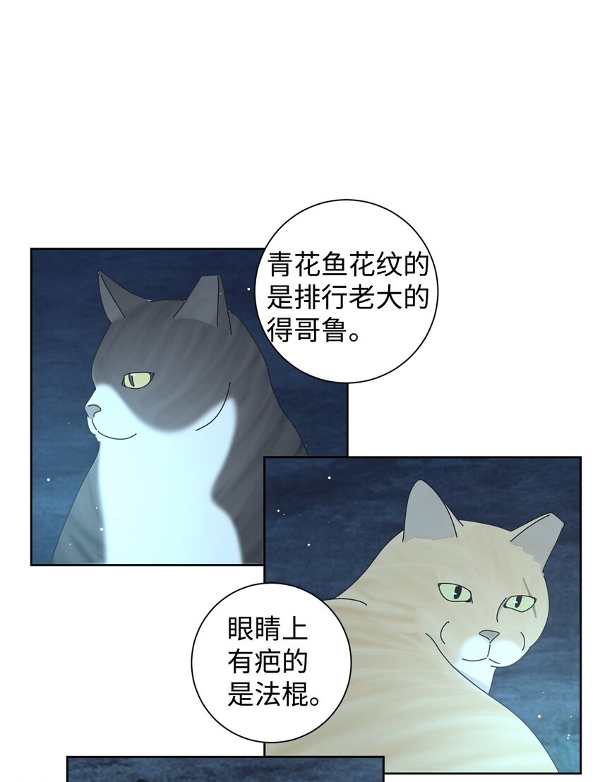 03 一起喂猫(1/2)-第3话