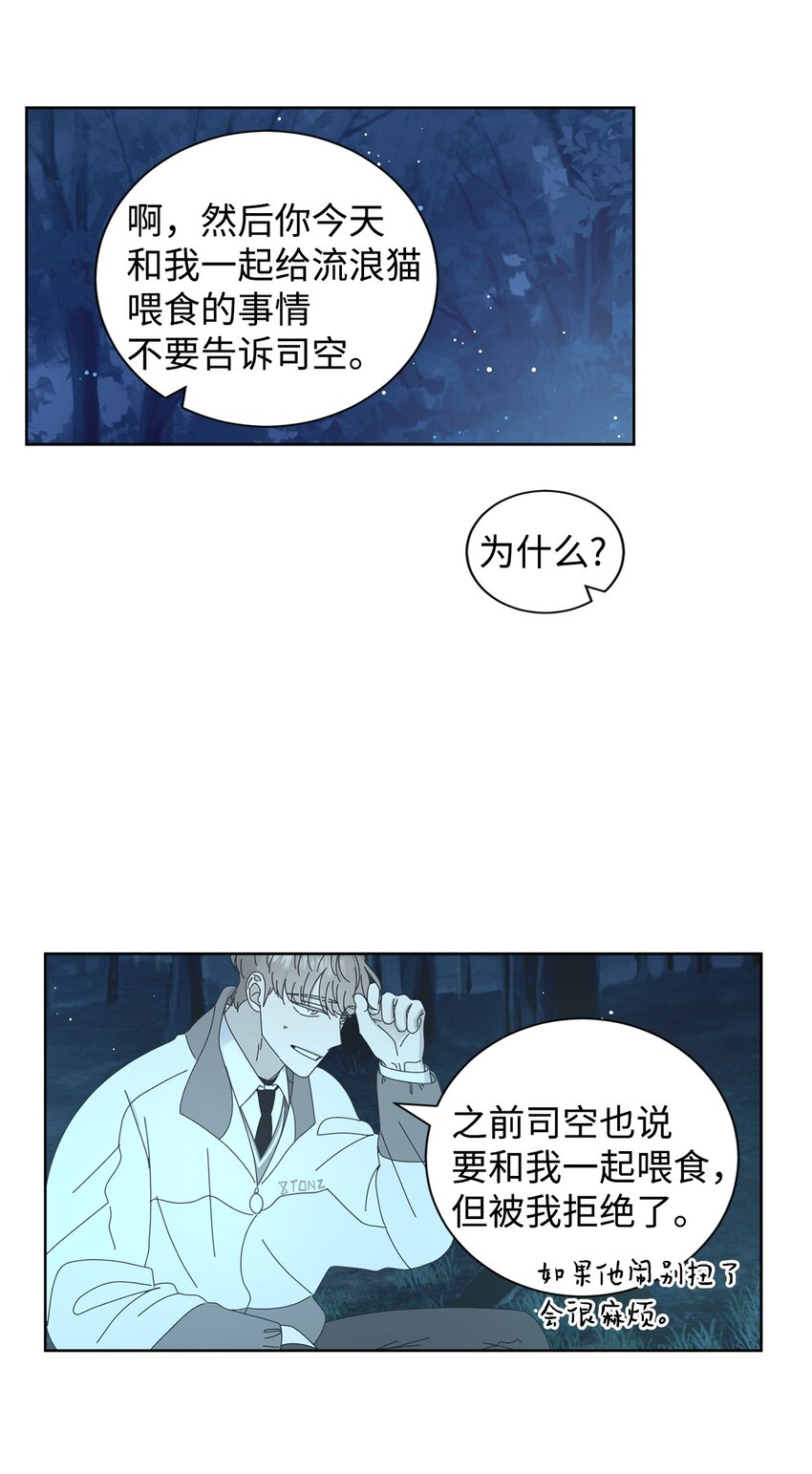 03 一起喂猫(1/2)-第3话