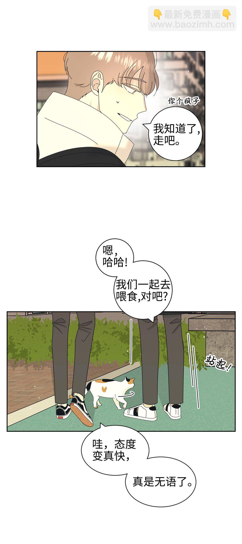 03 一起喂猫(1/2)-第3话