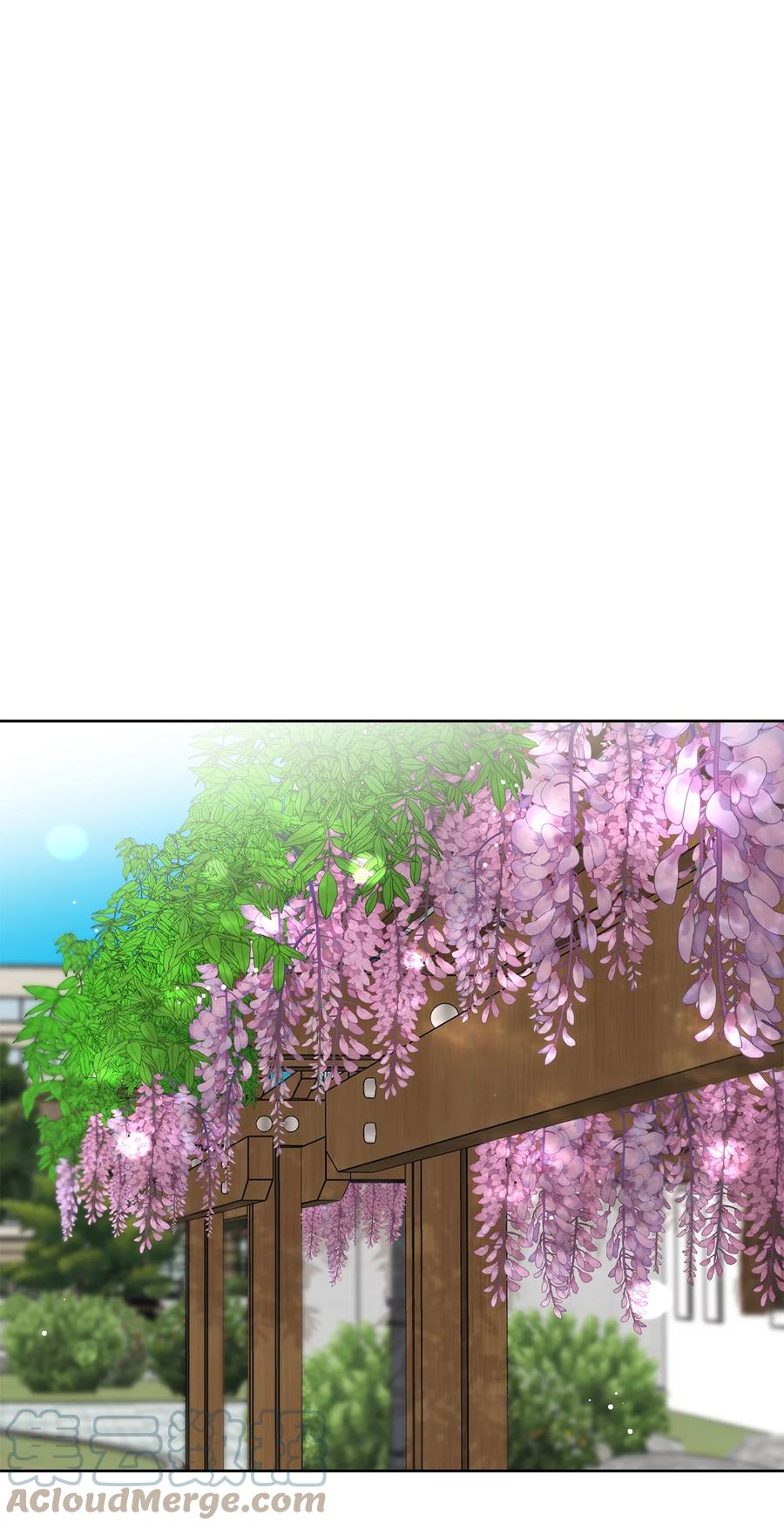29 偏执(1/2)-第29话