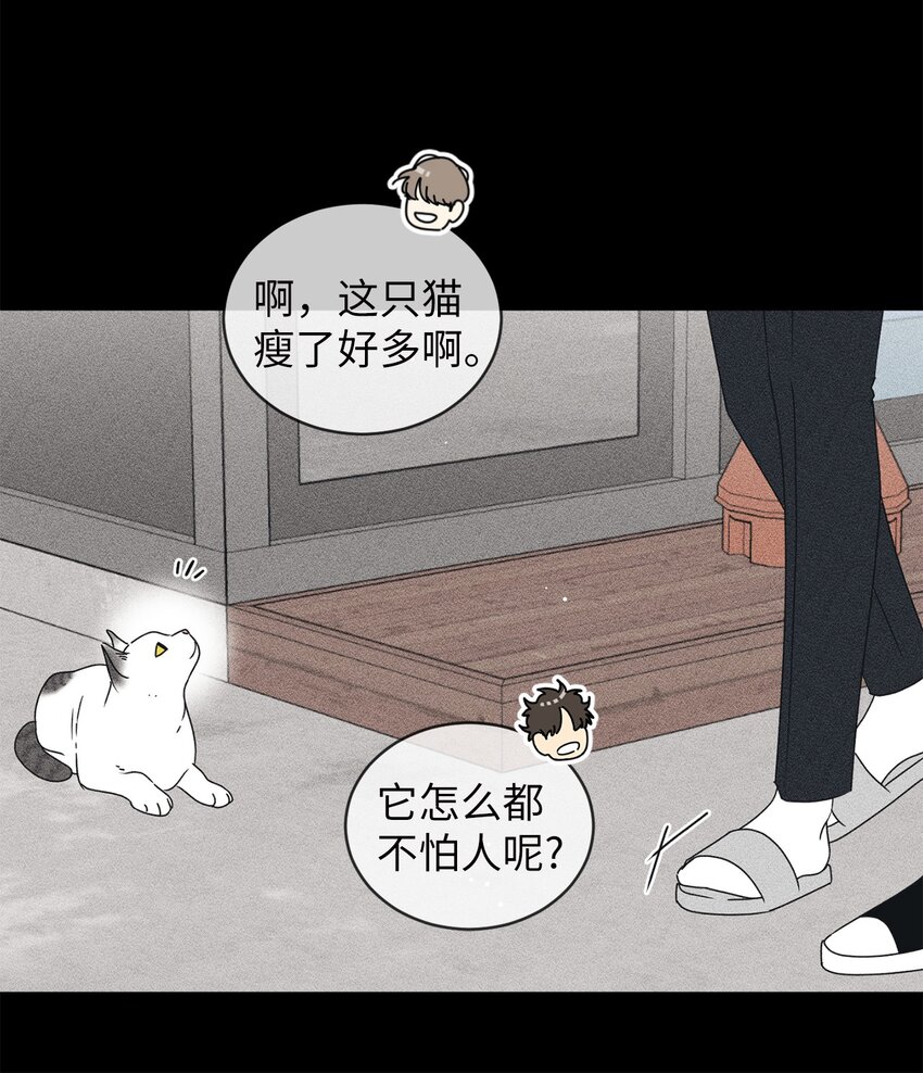 69 绝望(1/2)-第69话