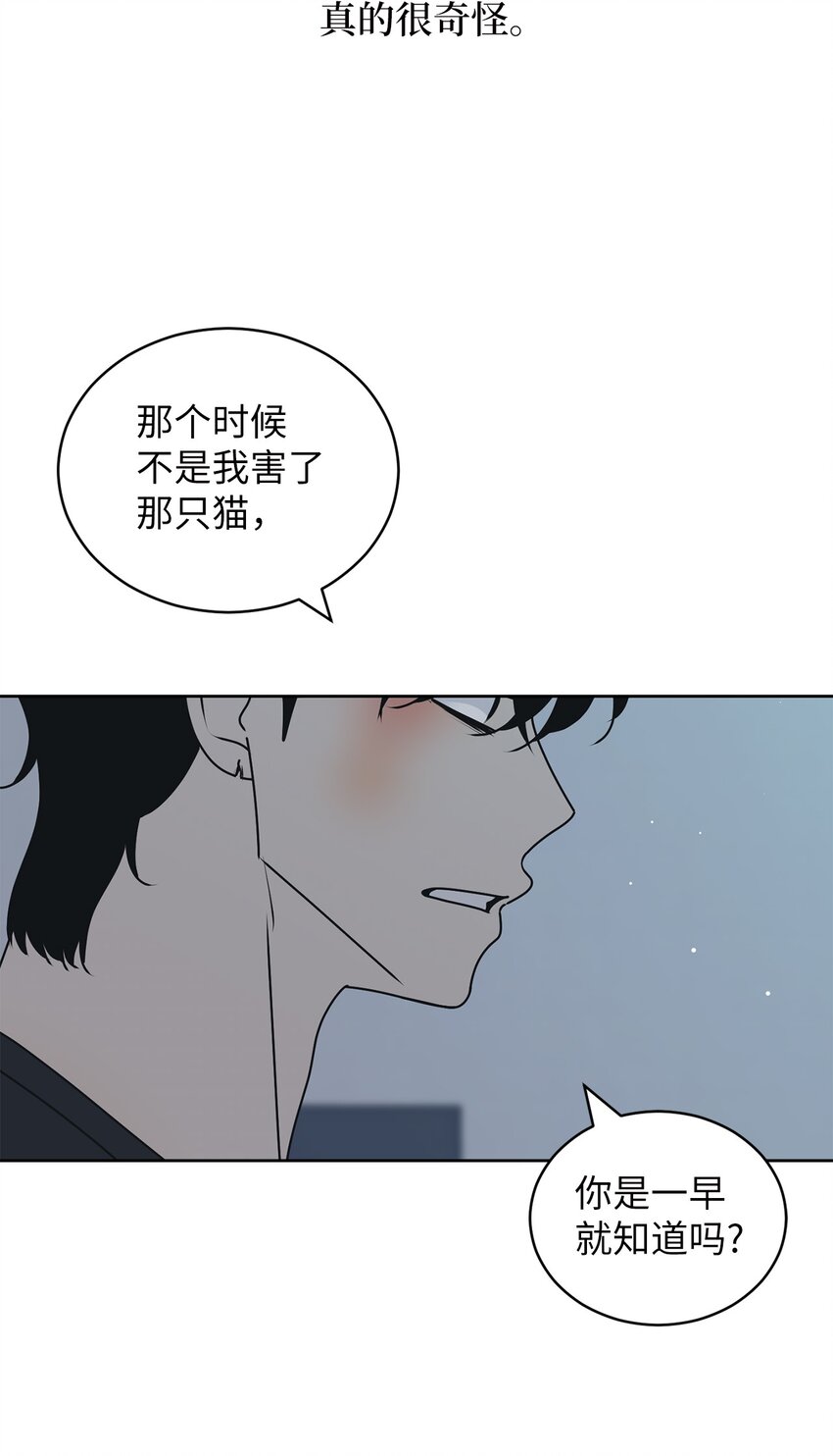 75 厘不清的过往(1/2)-第75话