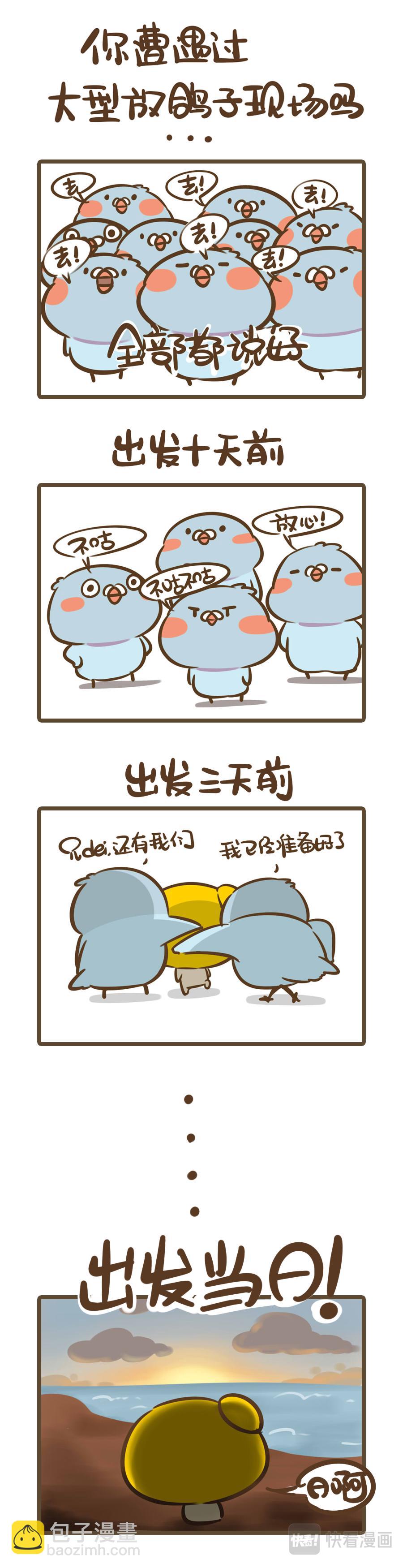 身边都是鸽子精是什么体验？-第15话