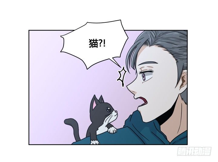 敞开心扉-第35话