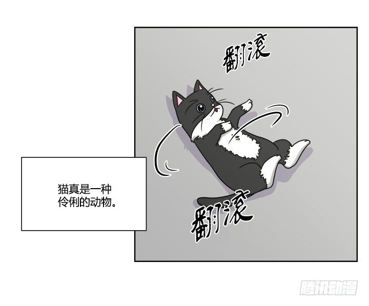 带来好运的猫-第47话