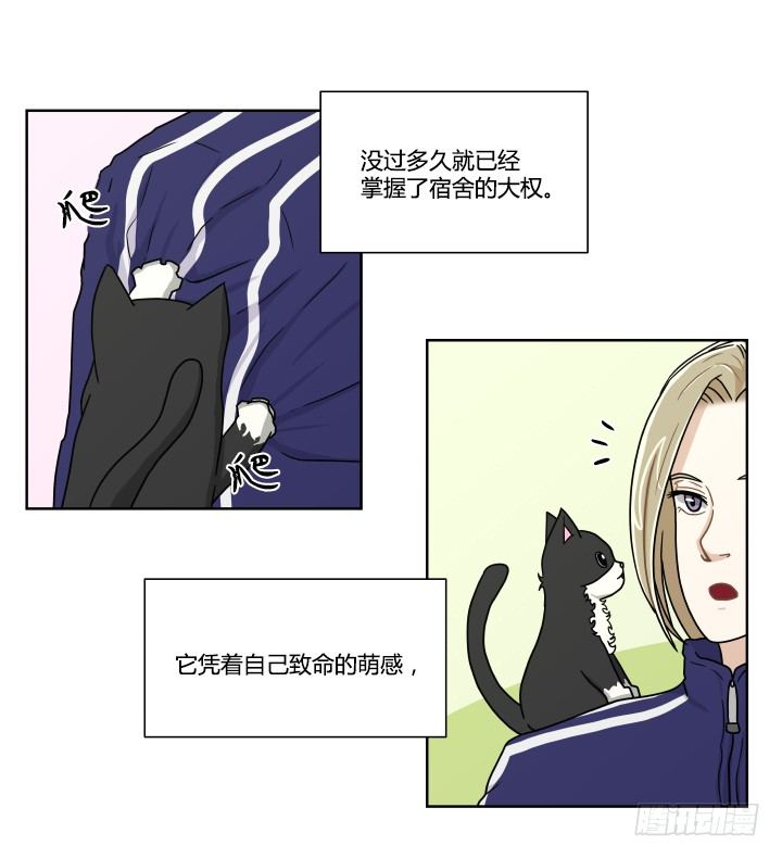 带来好运的猫-第47话
