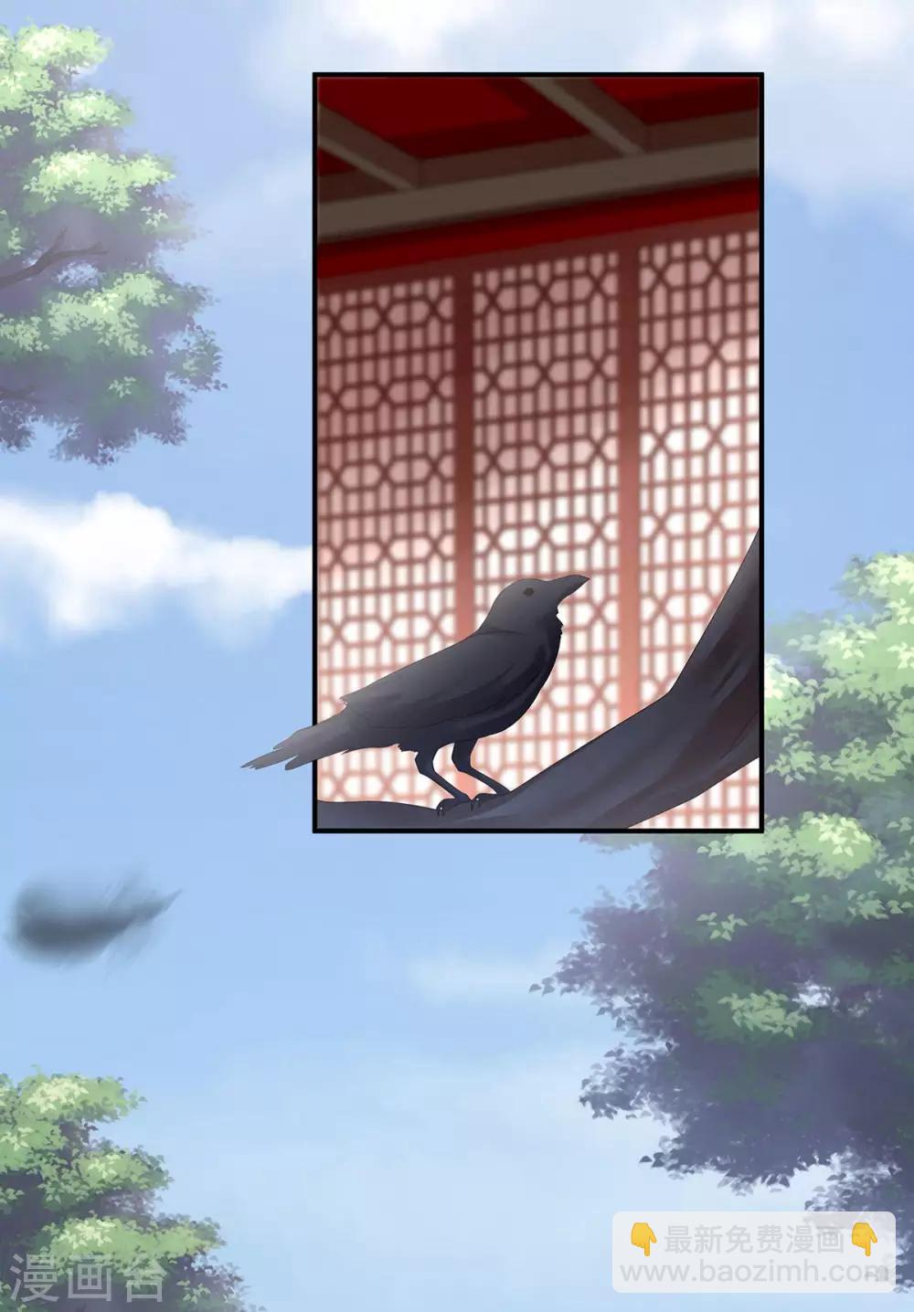 🍗女帝的后宫 第149话 一刀两断 第25页