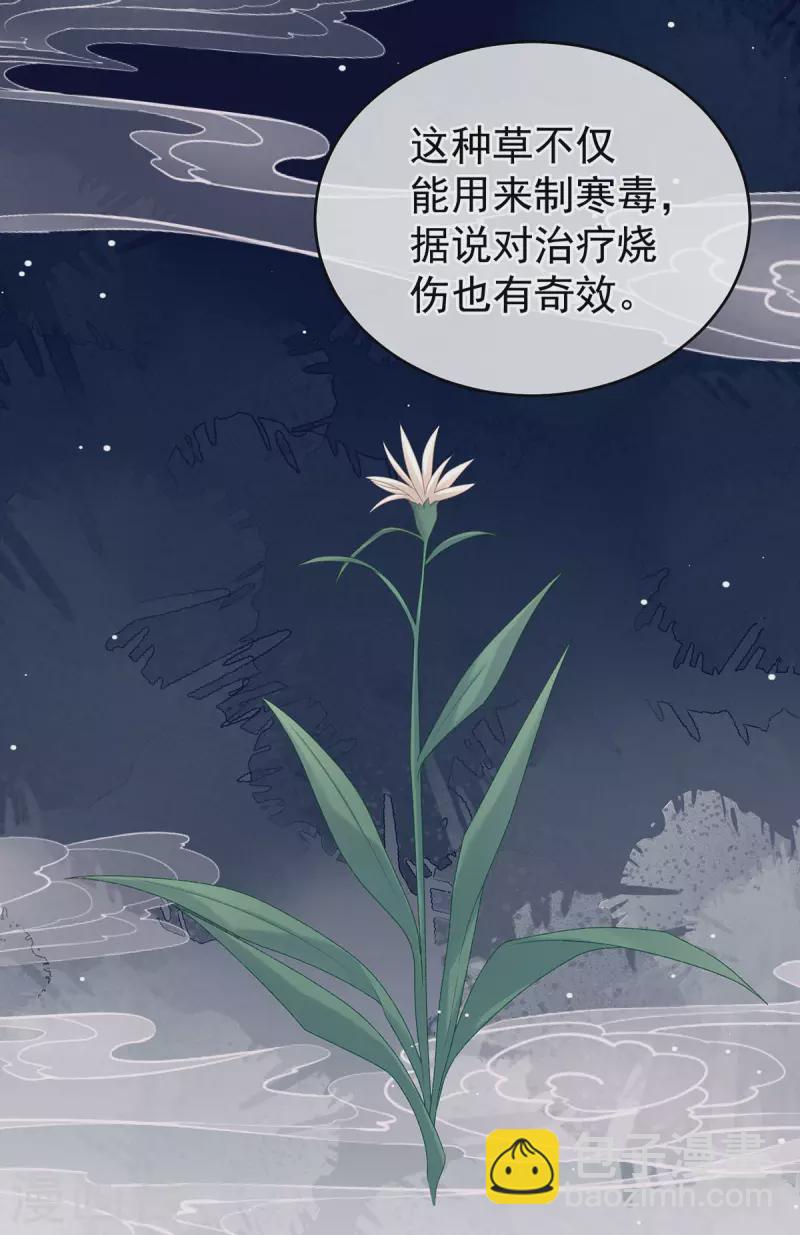 🍗女帝的后宫 第227话 奇怪的CP增加了 第10页
