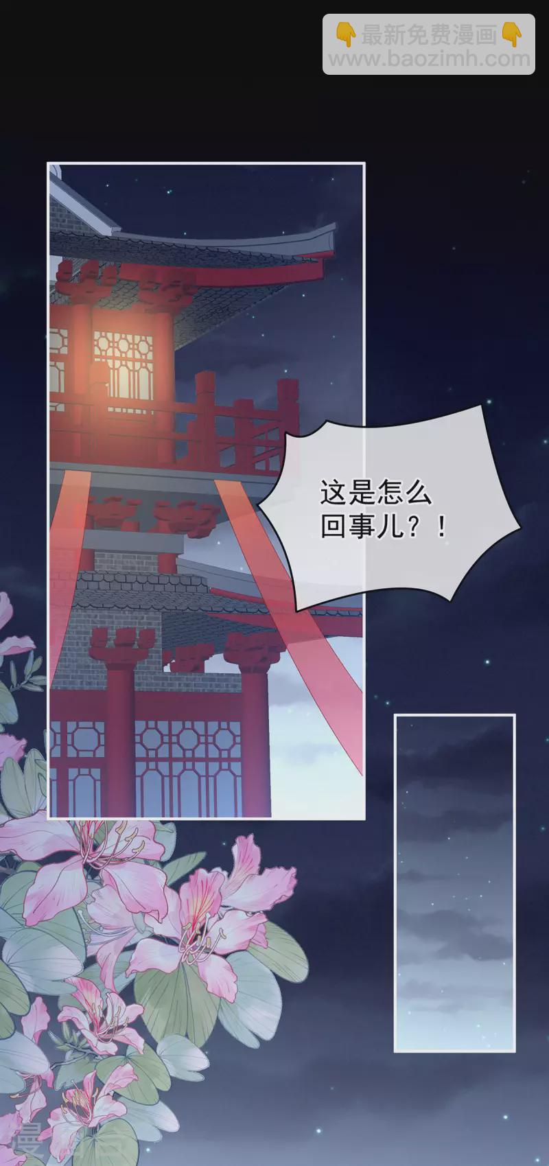 🍗女帝的后宫 第227话 奇怪的CP增加了 第2页