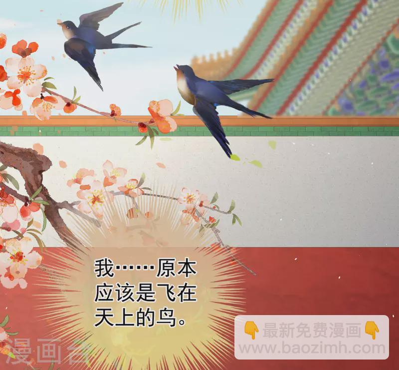 🍗女帝的后宫 第341话 笼中鸟 第14页