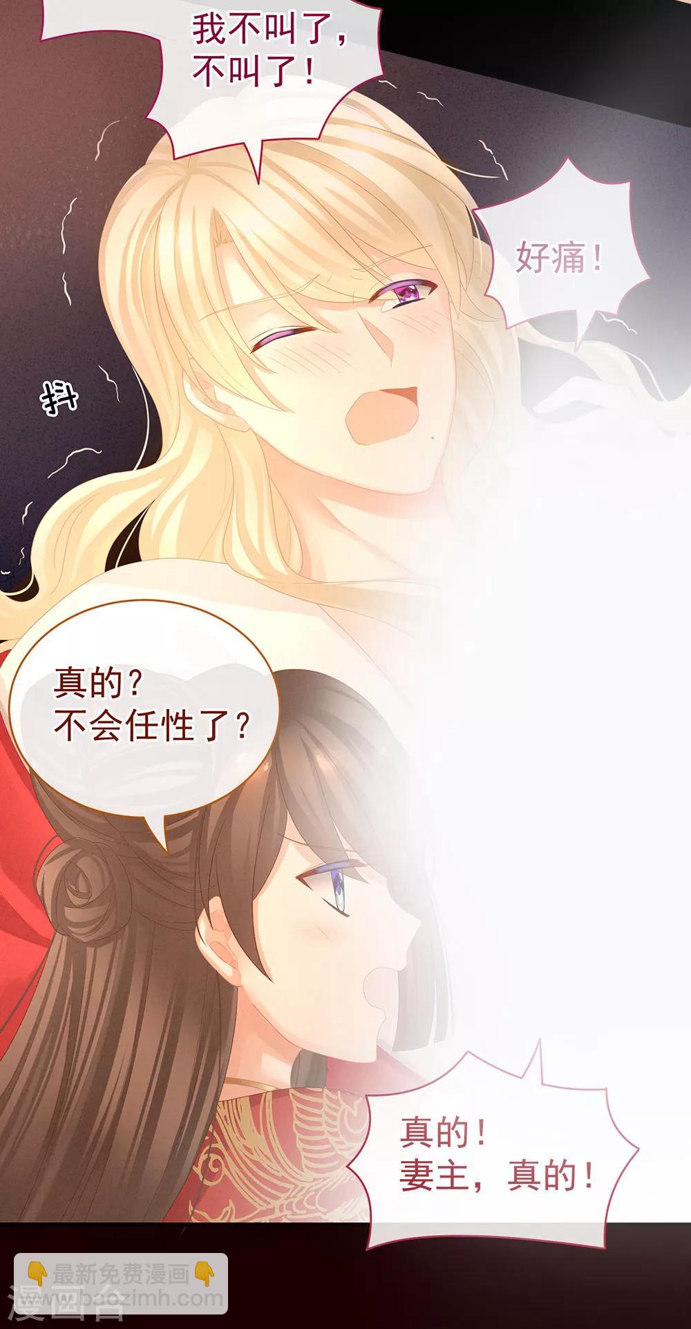 🍗女帝的后宫 第54话 洞房花烛夜 第13页