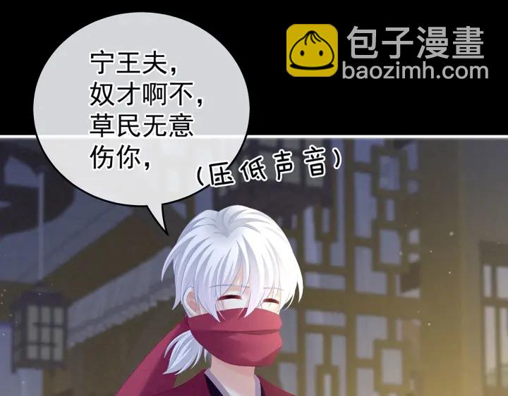 第200话 宁王大婚(1/4)-第213话