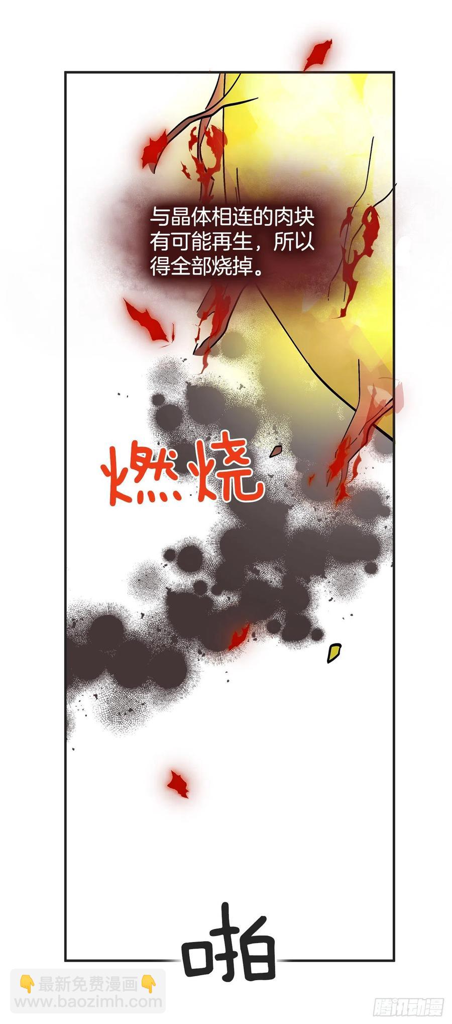 64.魔物的晶体(1/2)-第63话