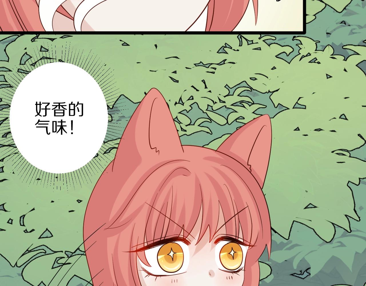 番外  女皇和总裁的原始部落篇(1/4)-第33话