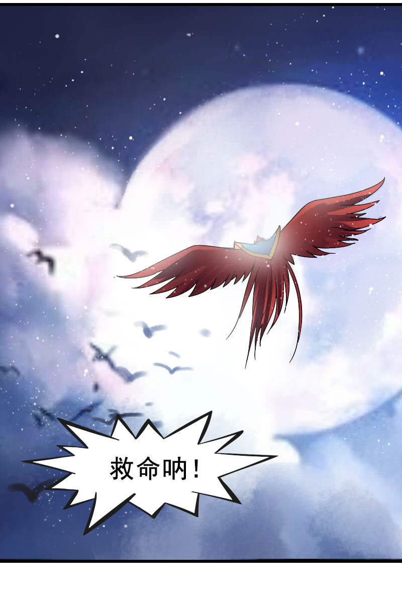 第118话：娘子，你就从了我吧！-第121话