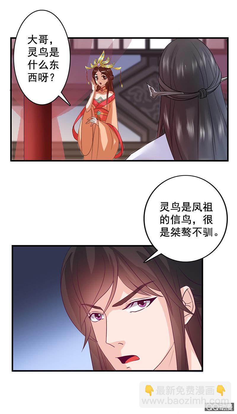 第四十二话：灵鸟失窃-第45话