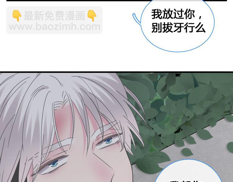 第202话 他被伤害的真相(1/3)-第215话