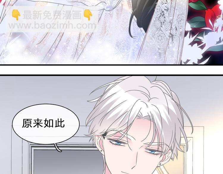 番外：张晨与许崎露(1/4)-第231话