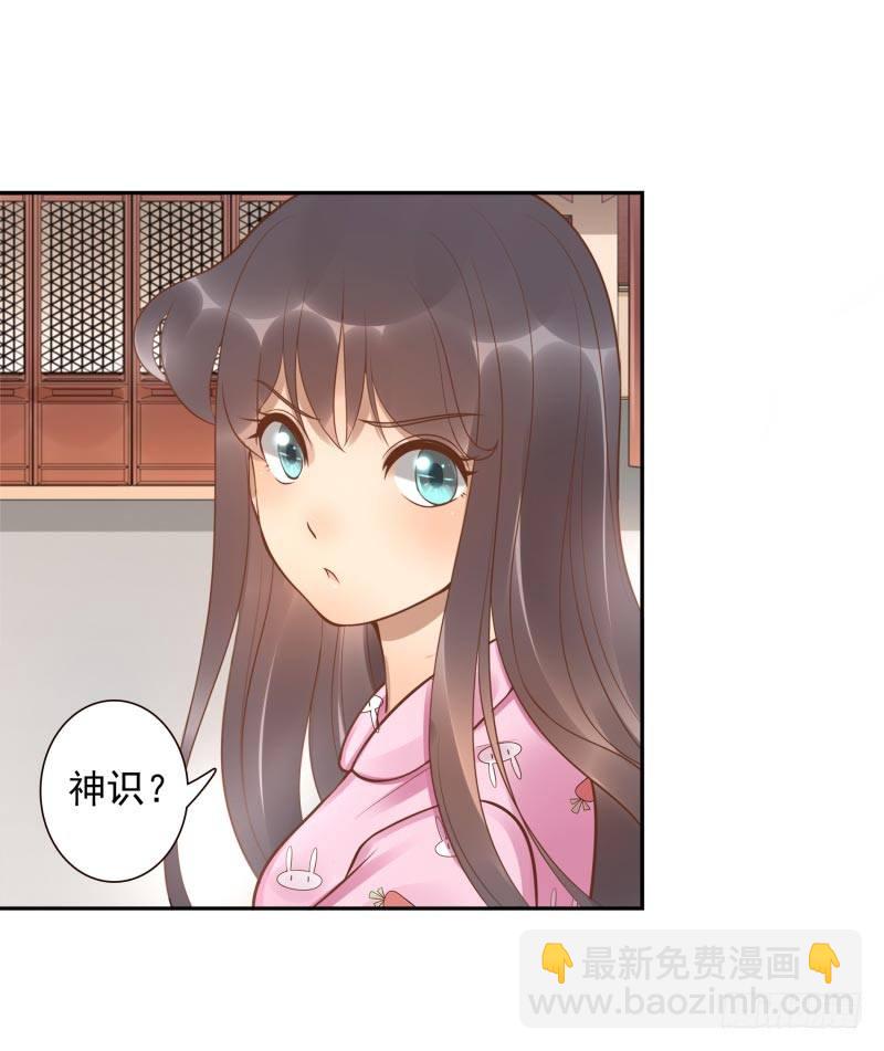 第11话：召唤武封殿(1/2)-第11话
