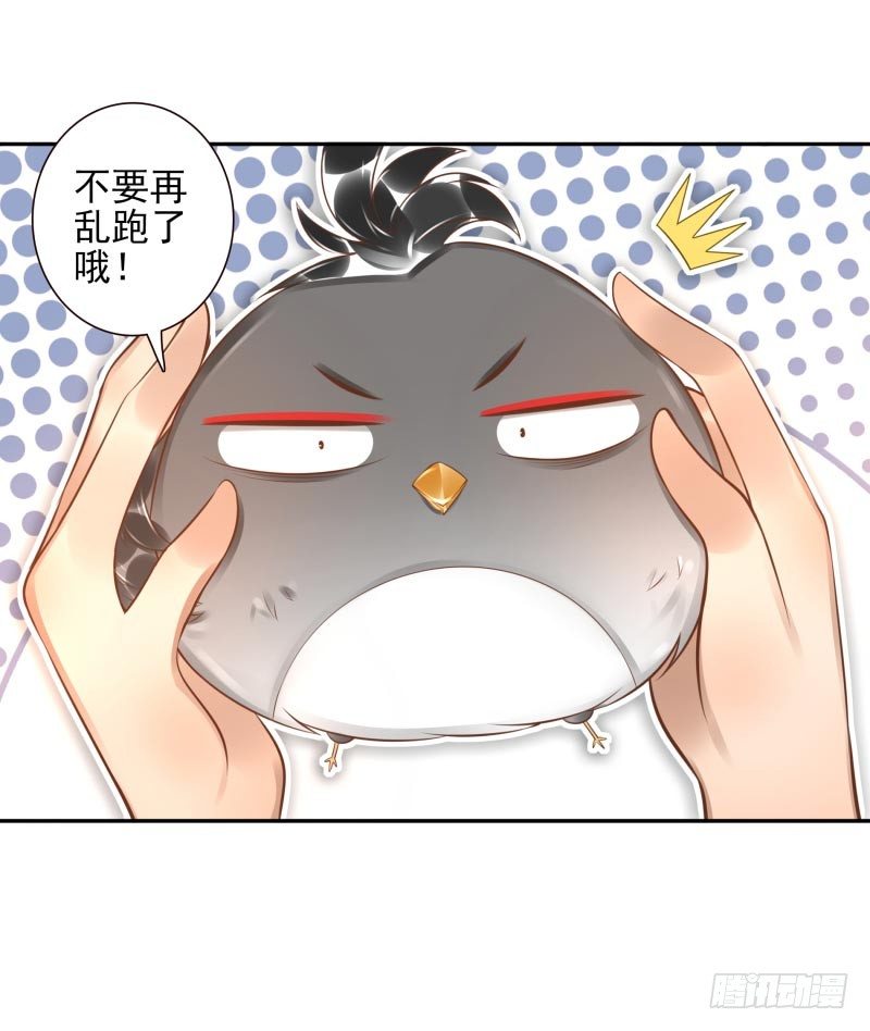 第23话：制定计划(1/2)-第23话