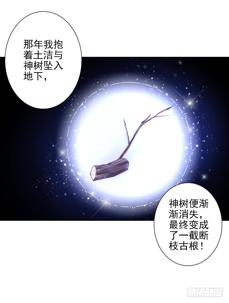 第33话：神树之源-第33话