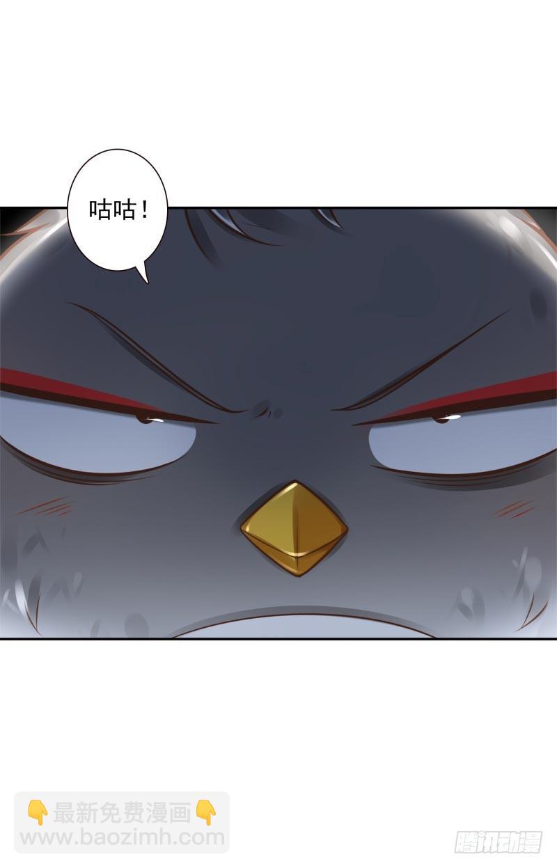 第33话：神树之源-第33话