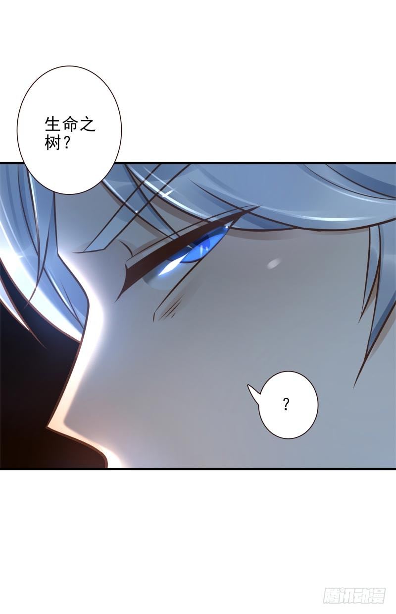 第33话：神树之源-第33话