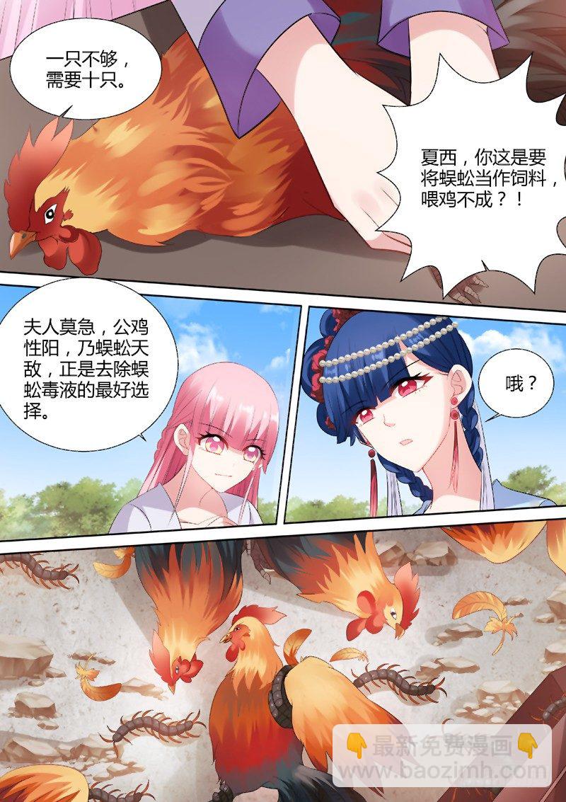 🍗女神制造系统 烹饪蜈蚣？！ 第4页