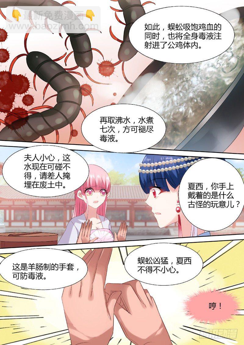 🍗女神制造系统 烹饪蜈蚣？！ 第5页