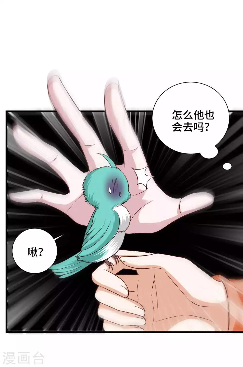 第40话 打不死的啾-第41话