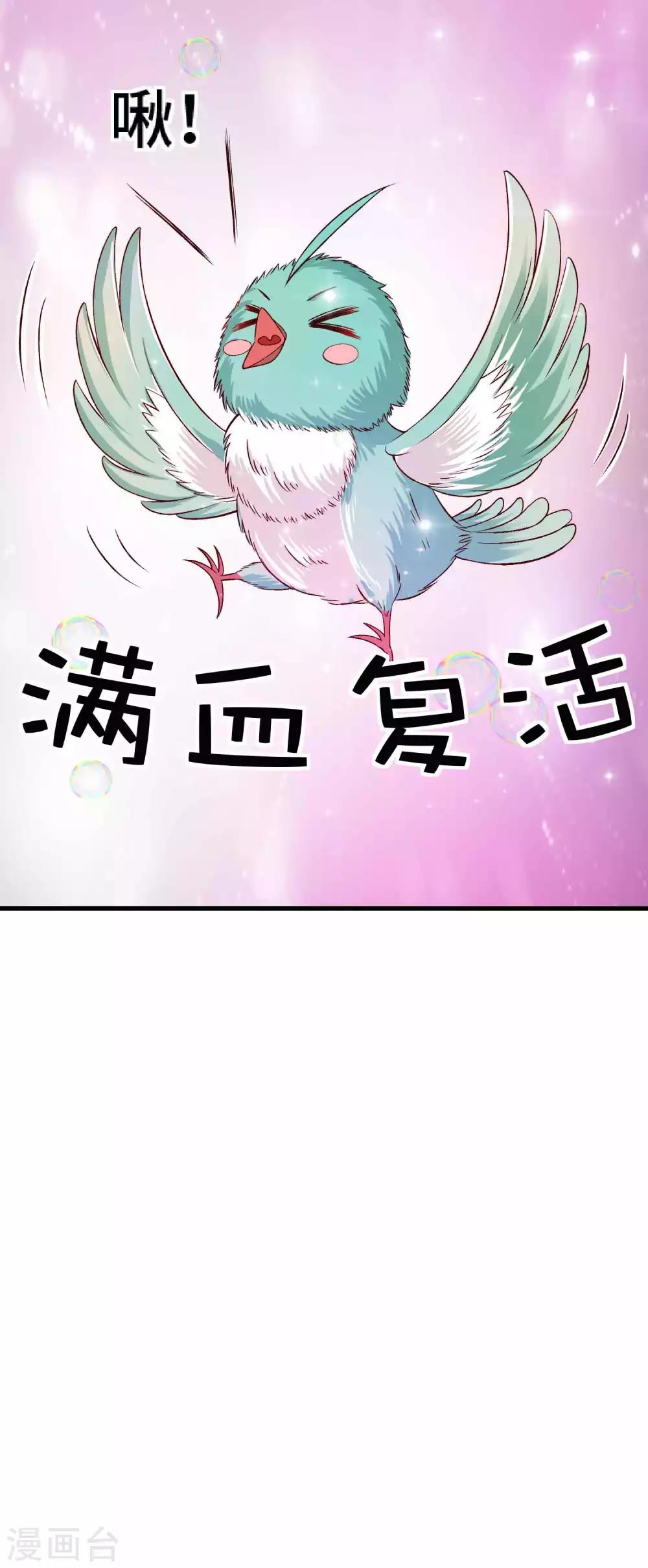 第40话 打不死的啾-第41话