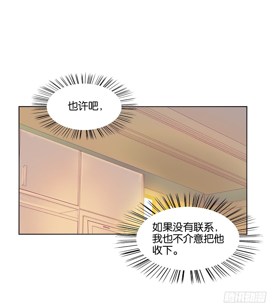 这简直就是理想的后宫啊！(1/2)-第19话