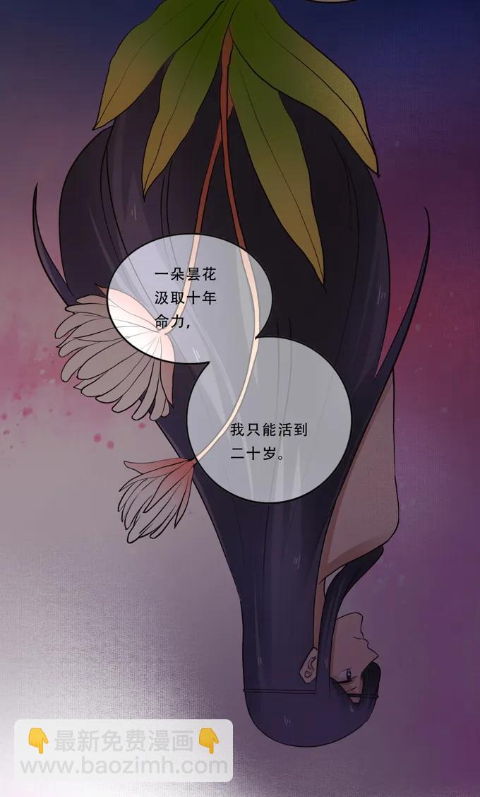 192 朝露昙华-第193话