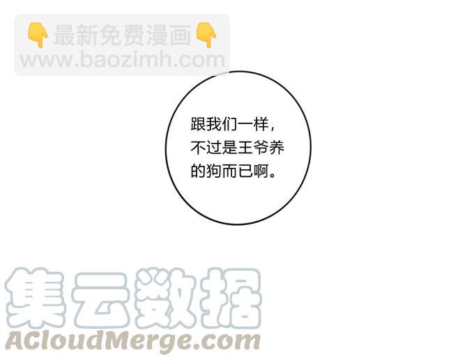 228 毒和狗-第229话