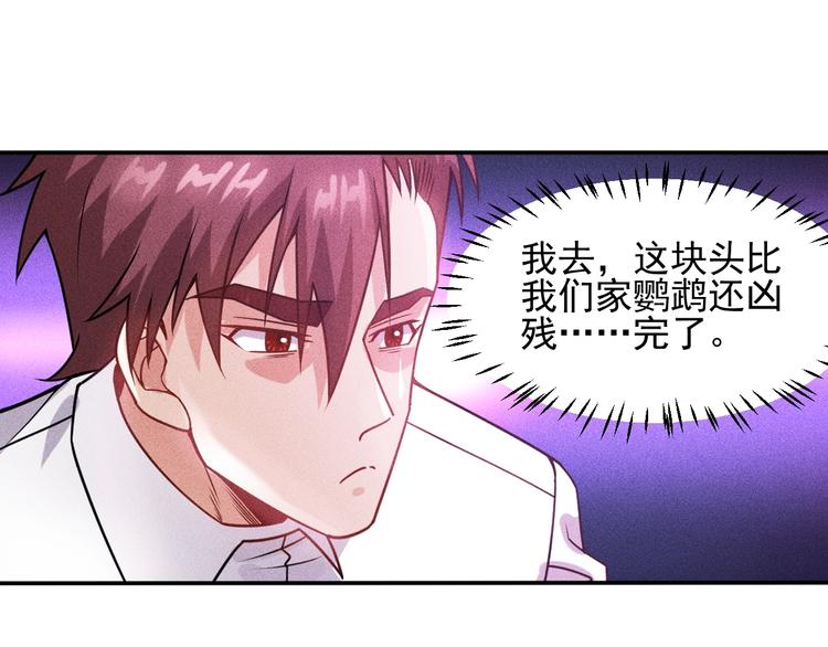 第75话 我的姐夫不一般(1/2)-第79话