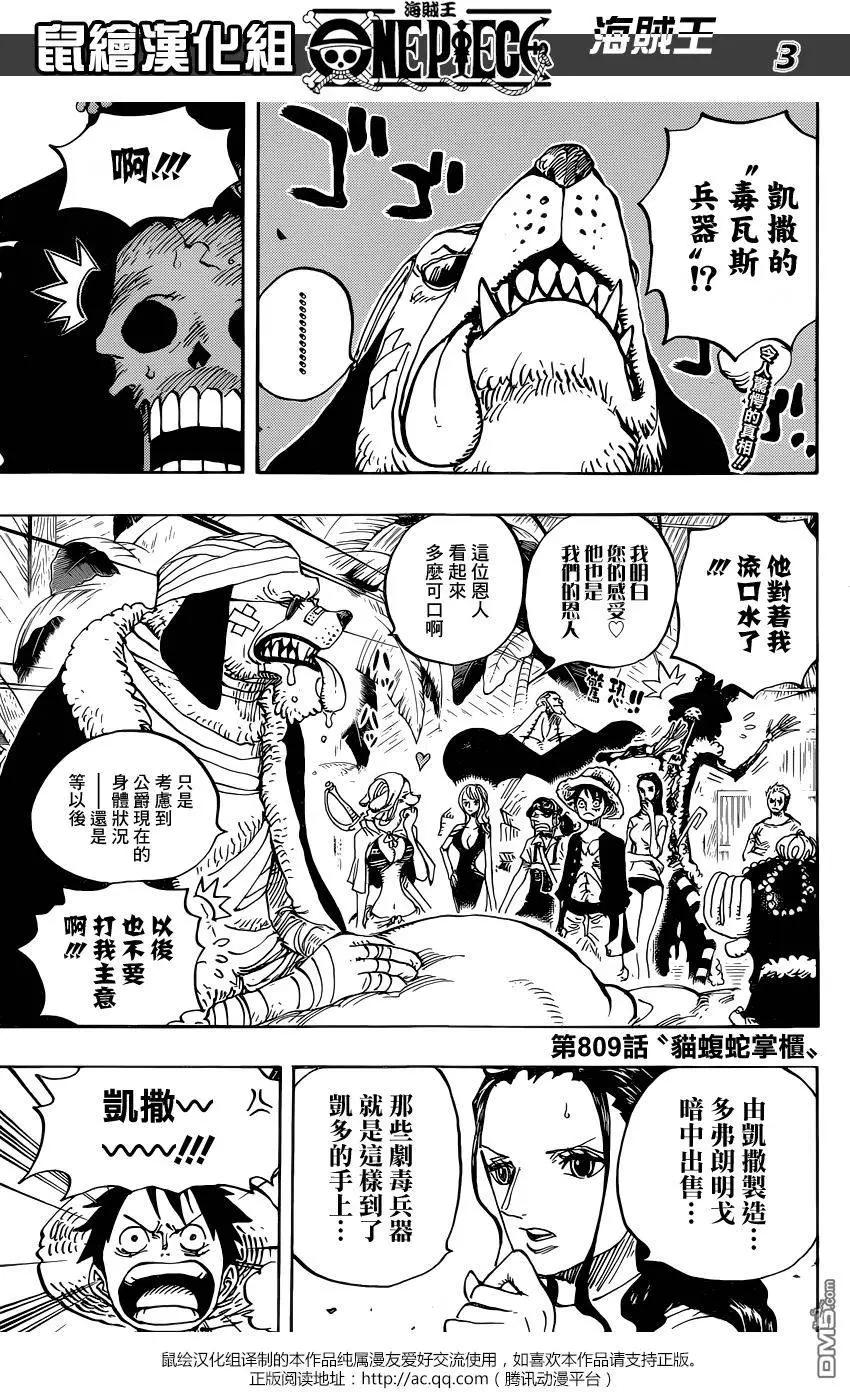 🍖ONE PIECE航海王 第809回 第3页