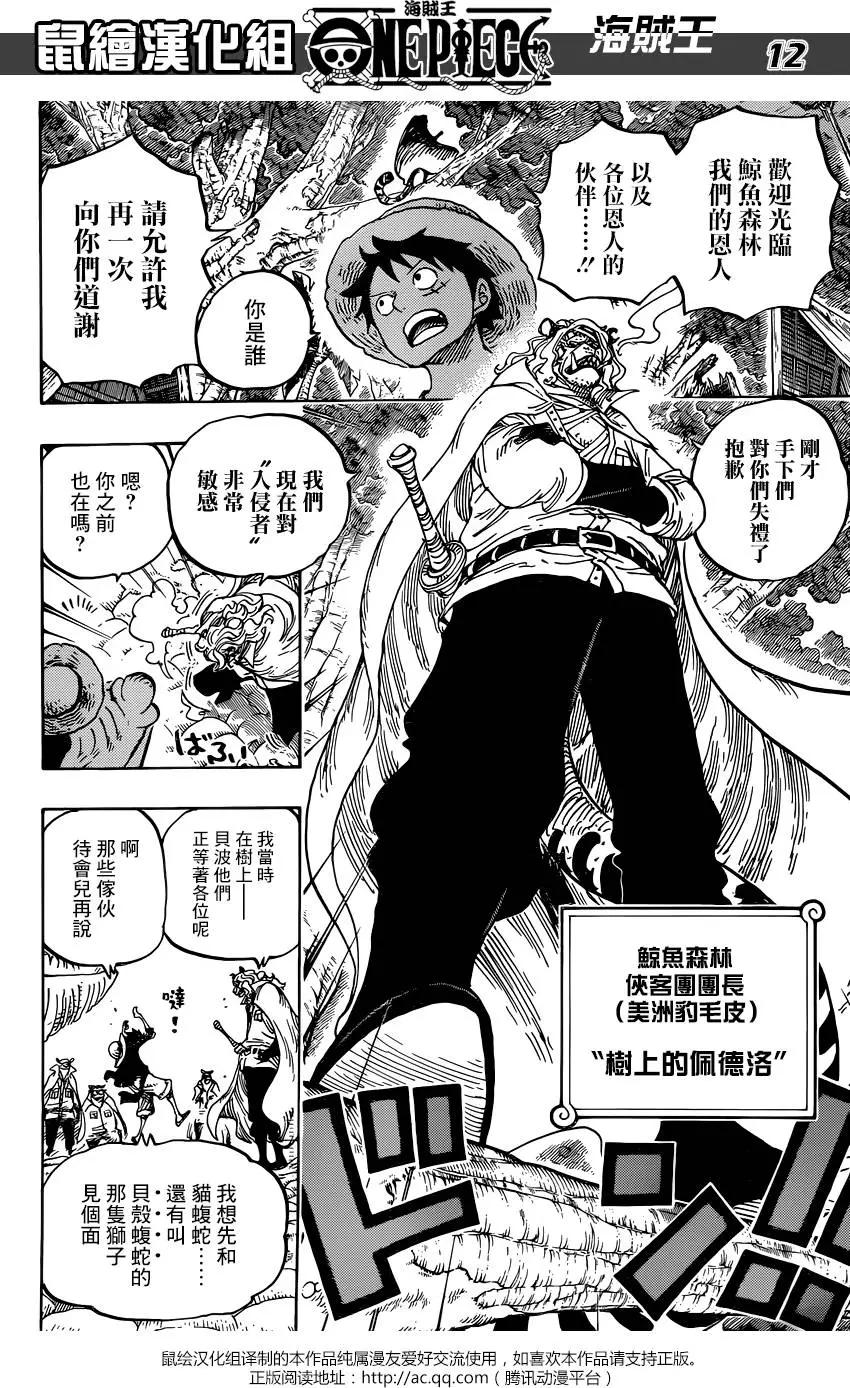 🍖ONE PIECE航海王 第814回 去见猫蝮蛇掌柜吧 第11页