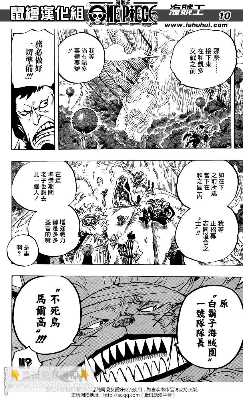 🍖ONE PIECE航海王 第820回 有故事的猫狗 第10页