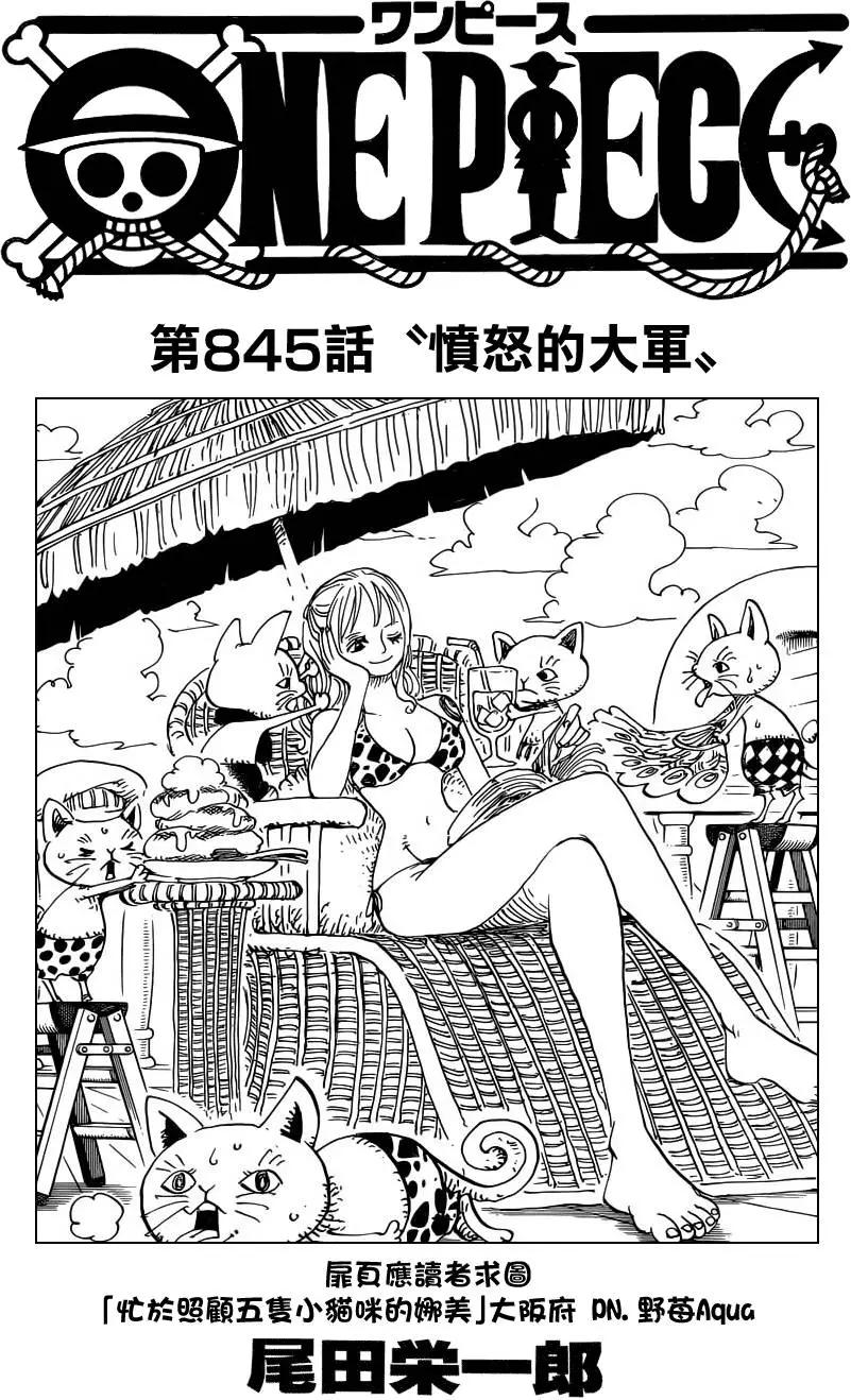 🍖ONE PIECE航海王 第845回 愤怒的大军 第1页