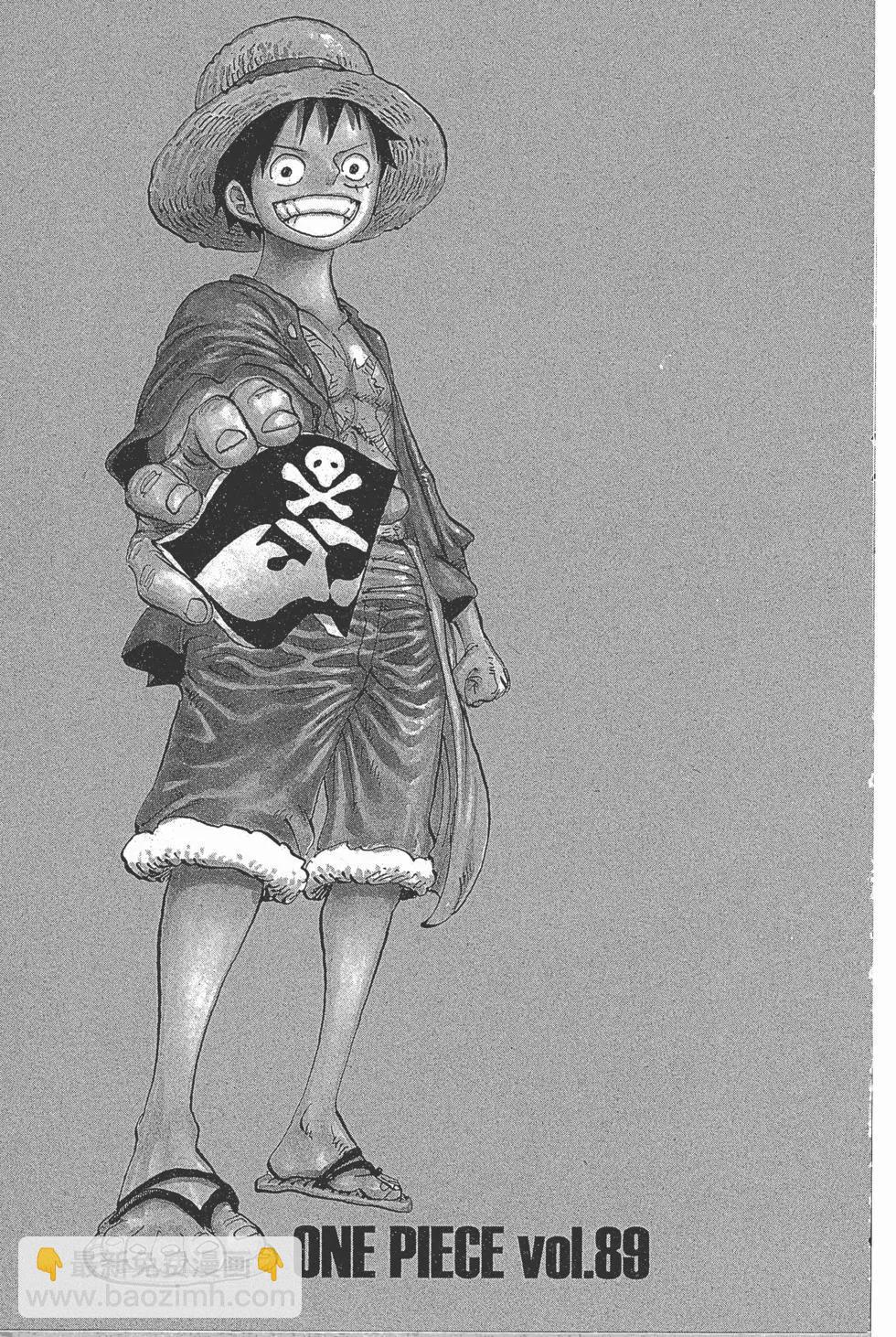 🍖ONE PIECE航海王 第89卷 第10页