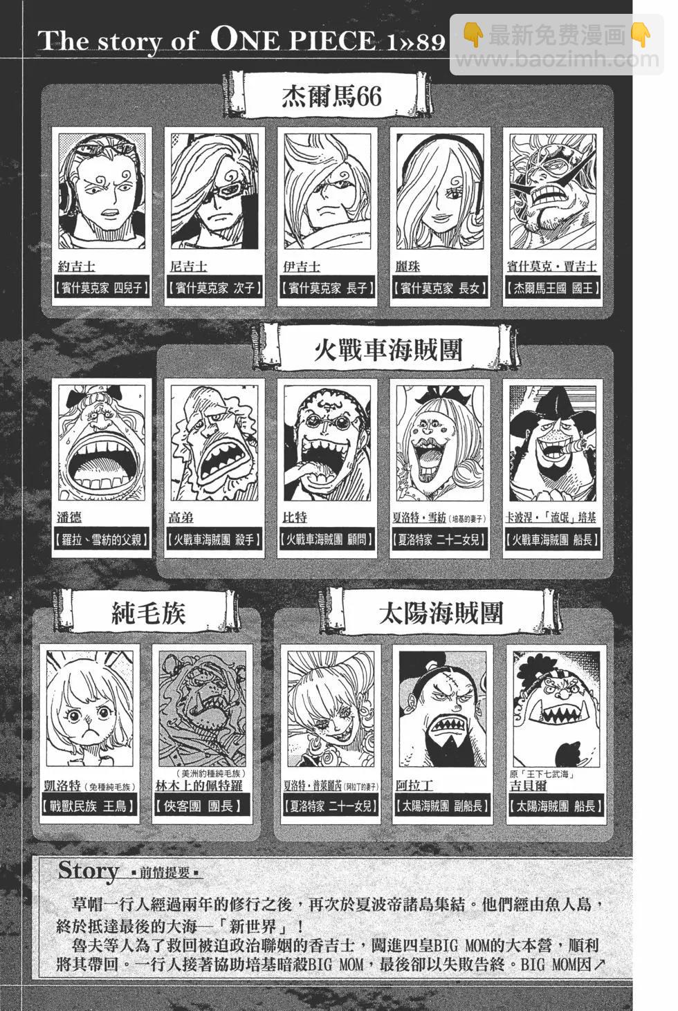 🍖ONE PIECE航海王 第89卷 第8页