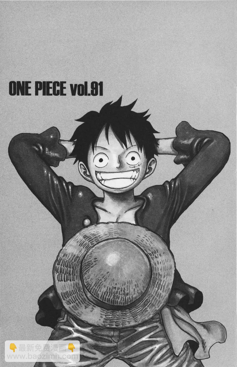 🍖ONE PIECE航海王 第91卷 第8页